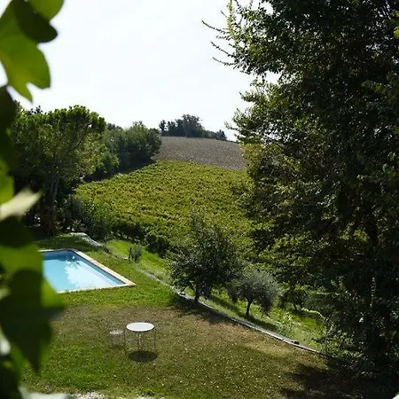 Casolare Saro Morro dʼAlba